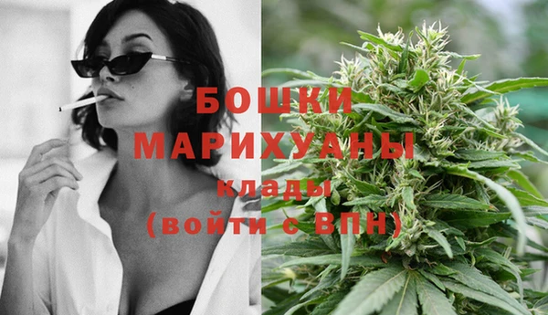 дмт Аркадак
