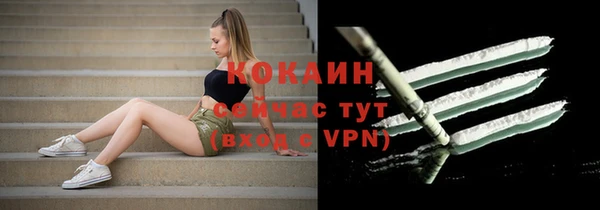 дмт Аркадак