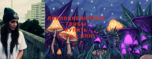 молекула духа Армянск