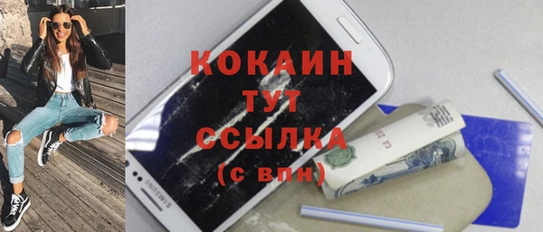 дмт Аркадак