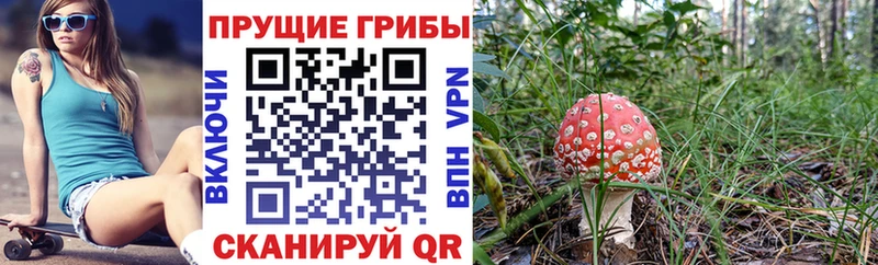 hydra сайт  Арсеньев  Галлюциногенные грибы Psilocybe 